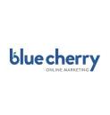 Blue Cherry Online Marketing logo